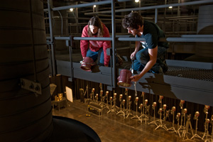 Digital Cinema Production