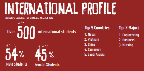 International Profile