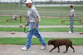 An inmate at the Lexington Correctional Center teaches a dog to heel. As part of the 12-week Friends For Folks program, inmates train shelter dogs before they are placed in new homes. To learn more about Friends For Folks, visit friendsforfolks.org.