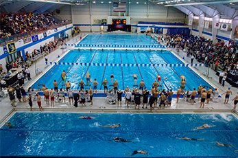 Swimmers compete in the 2015 NAIA Men's and Women's Swimming and Diving National Championships.