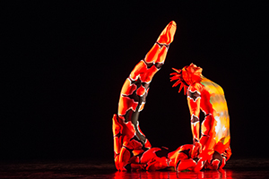 MOMIX Dance Company's Opus Cactus performs