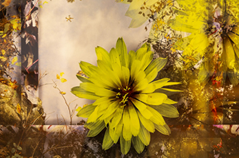 A sample of the art of Sharon Burris. A yellow flower in a modern scene.