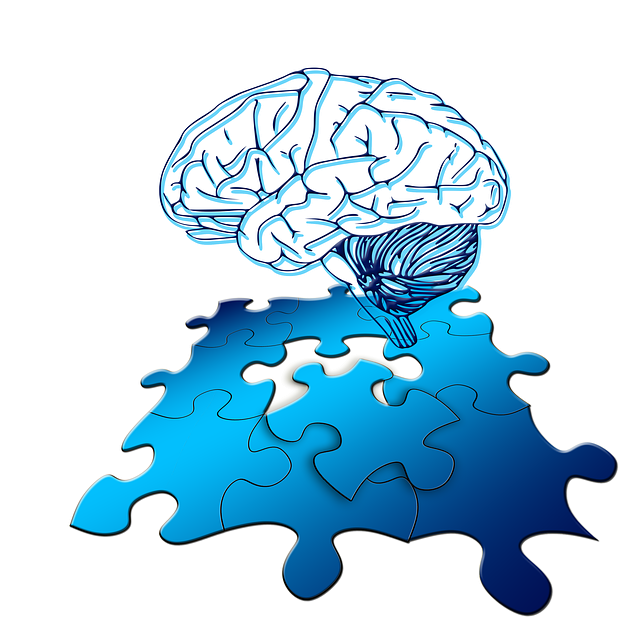 Brain and Puzzle Brain and Puzzle