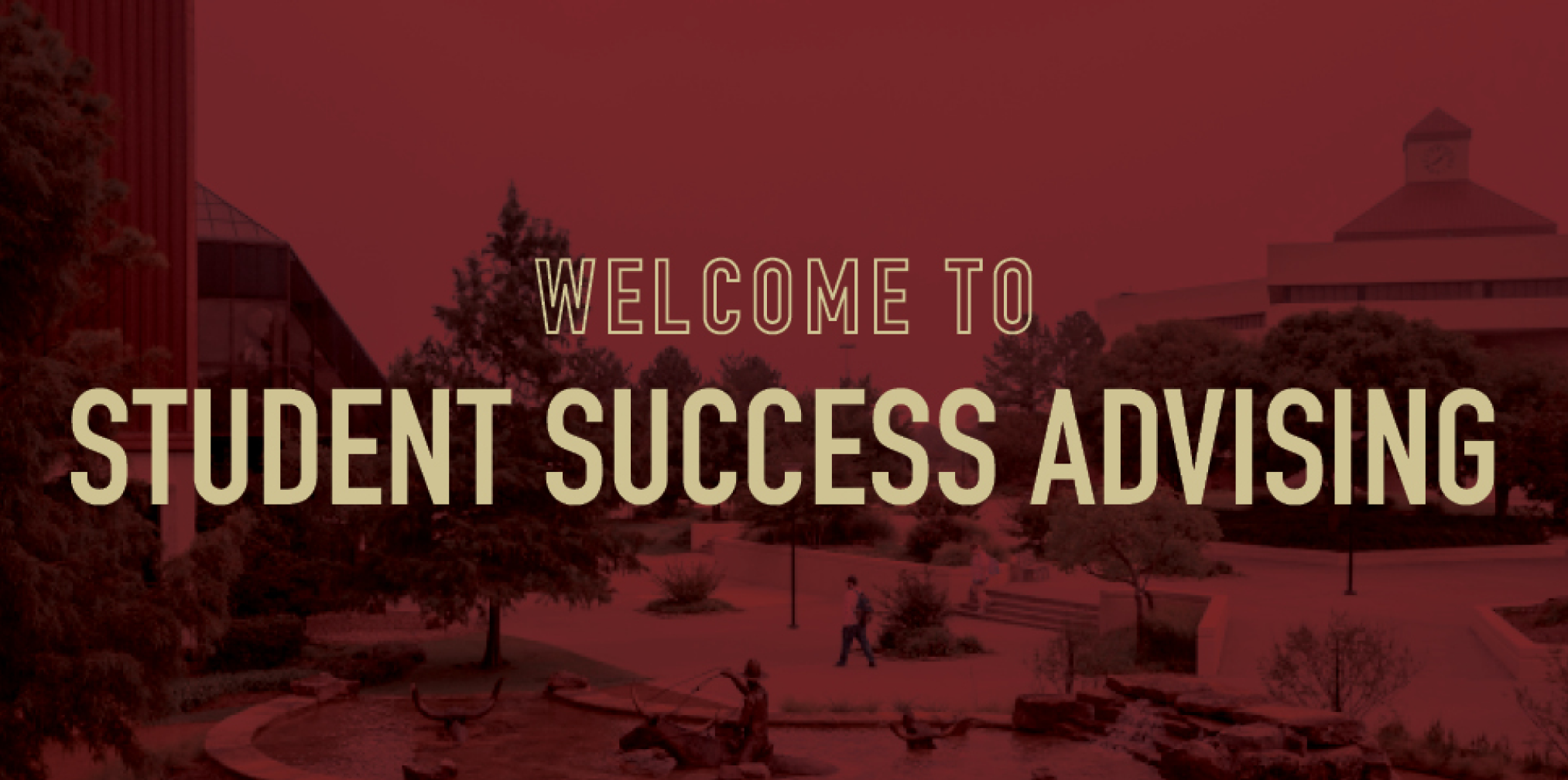 Student Success Advising